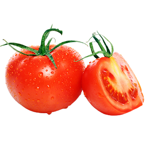 Tomato